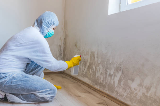 Best Mold Removal for HVAC Installations  in Chester, CA