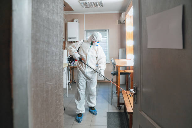 Best Black Mold Removal  in Chester, CA