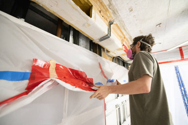 Professional Mold Removal in Chester, CA