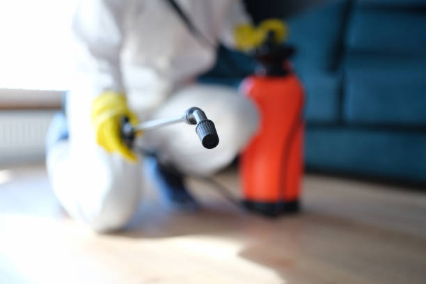 Dehumidification Services in Chester, CA