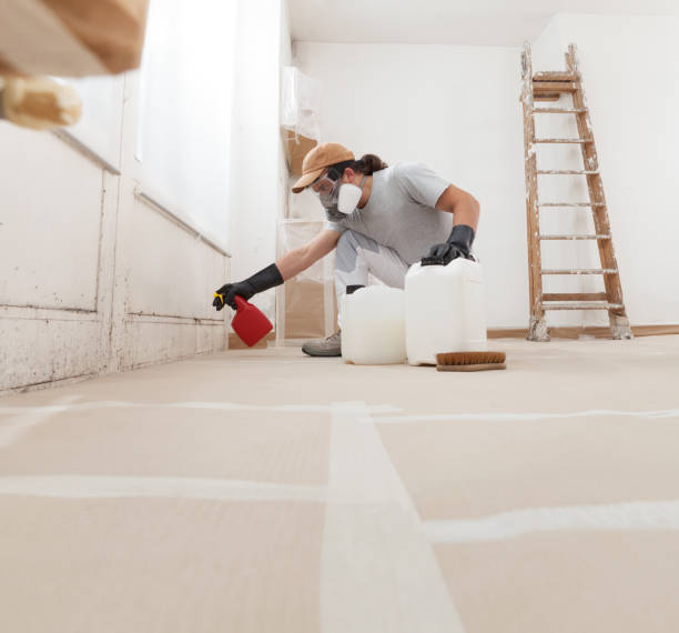 Best Mold-Related Health Consultation  in Chester, CA