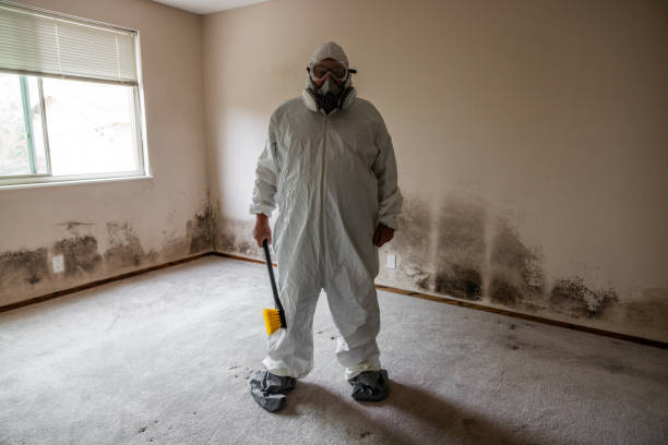 Biohazard Mold Removal in Chester, CA